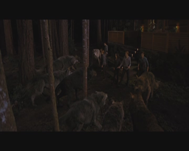 Ashley-Greene-dot-nl_BreakingDawnPart1-1710.jpg