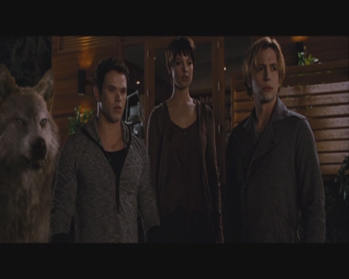 Ashley-Greene-dot-nl_BreakingDawnPart1-1745.jpg