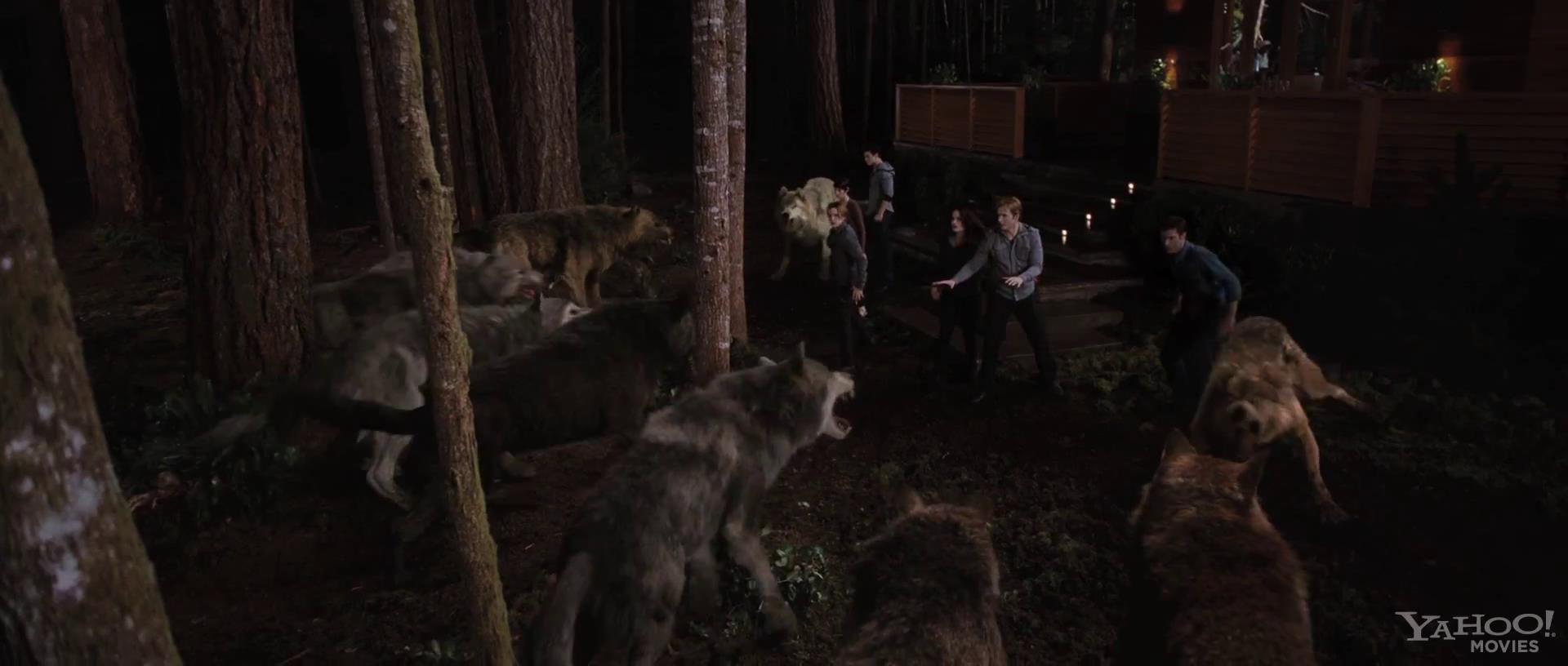 Ashley-Greene-dot-nl-BreakingDawn-Trailer0002.jpg