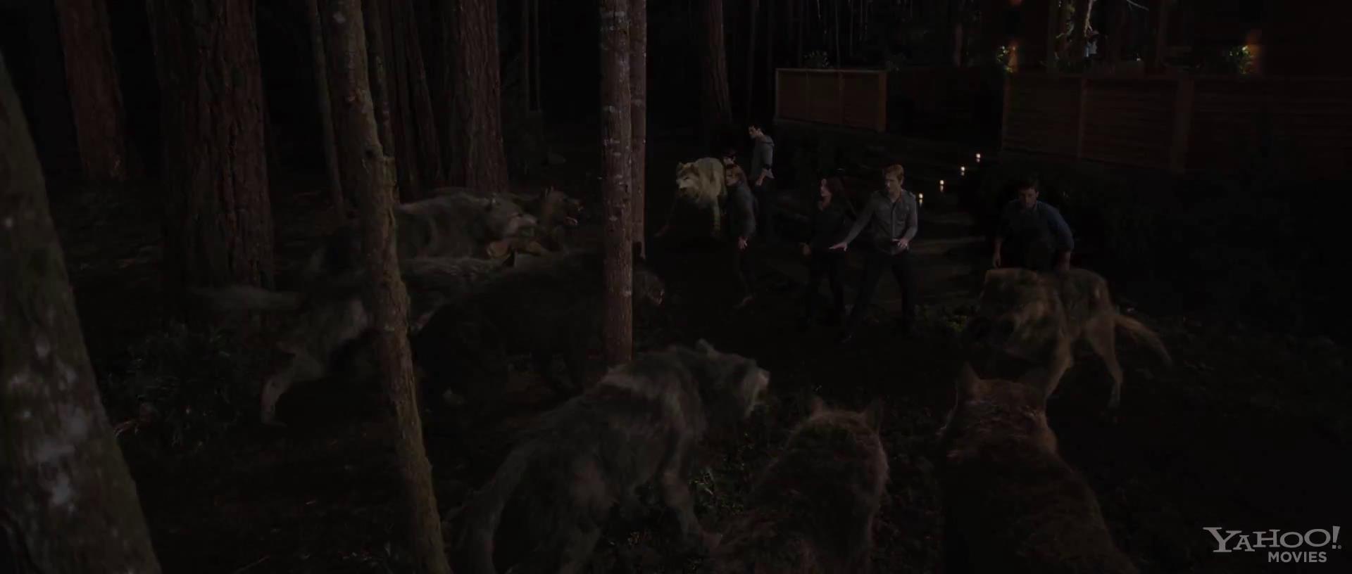 Ashley-Greene-dot-nl-BreakingDawn-Trailer0003.jpg