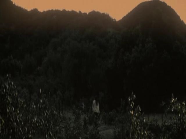 Ashley-Greene-dot-nl-TheApparition4095.jpg