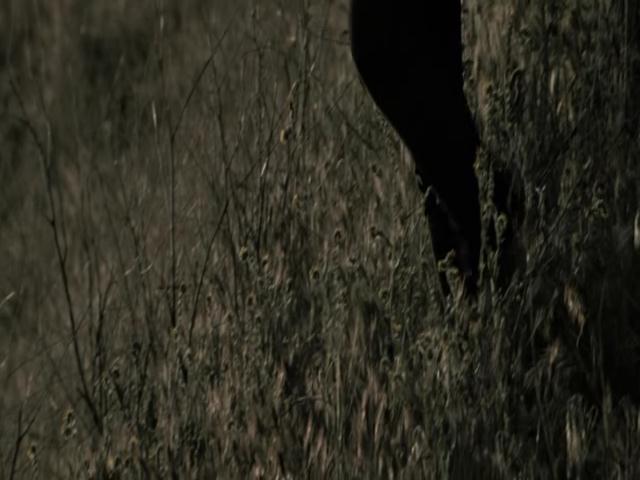 Ashley-Greene-dot-nl-TheApparition4116.jpg