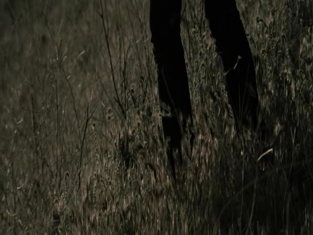 Ashley-Greene-dot-nl-TheApparition4118.jpg