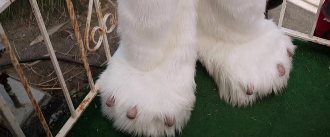 ashley-greene-dot-nl_WishIWasHere1226.jpg ashley-greene-dot-nl_WishIWasHere1226.jpg