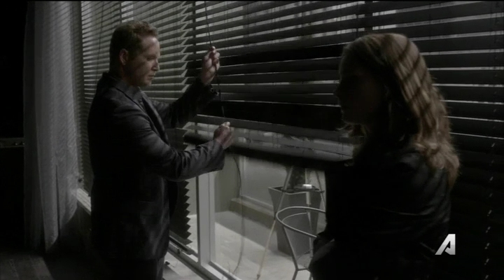 Ashley-Greene-dot_nl-Rogue3x14-0322.jpg
