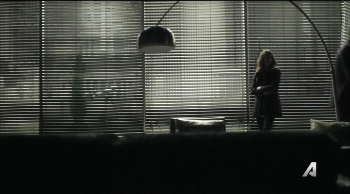 Ashley-Greene-dot_nl-Rogue3x14-0328.jpg