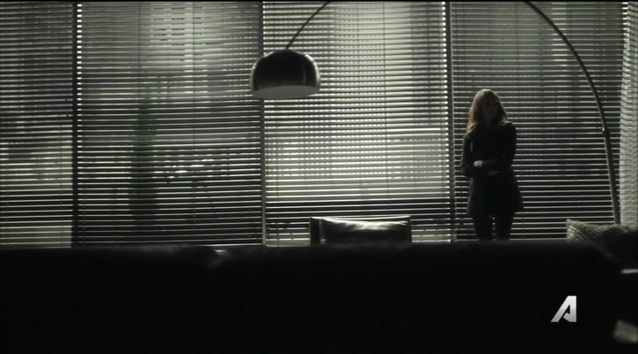 Ashley-Greene-dot_nl-Rogue3x14-0329.jpg
