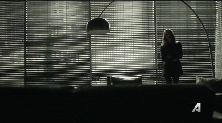 Ashley-Greene-dot_nl-Rogue3x14-0330.jpg