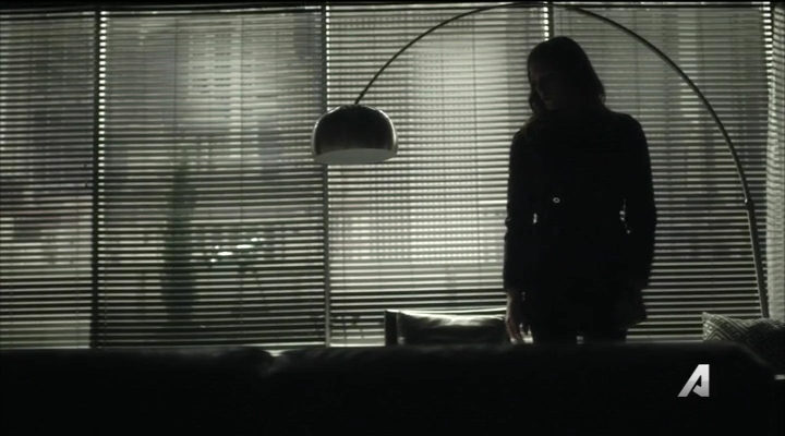 Ashley-Greene-dot_nl-Rogue3x14-0333.jpg