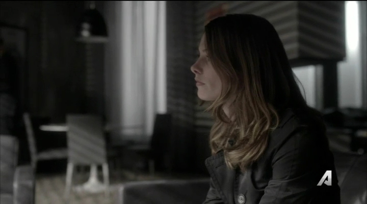 Ashley-Greene-dot_nl-Rogue3x14-0338.jpg