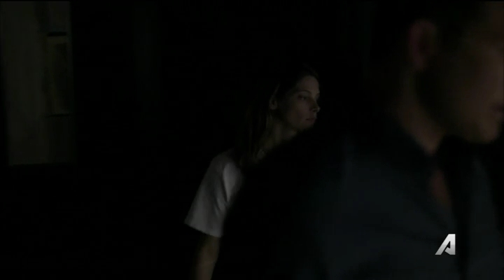 Ashley-Greene-dot_nl-Rogue3x14-0973.jpg
