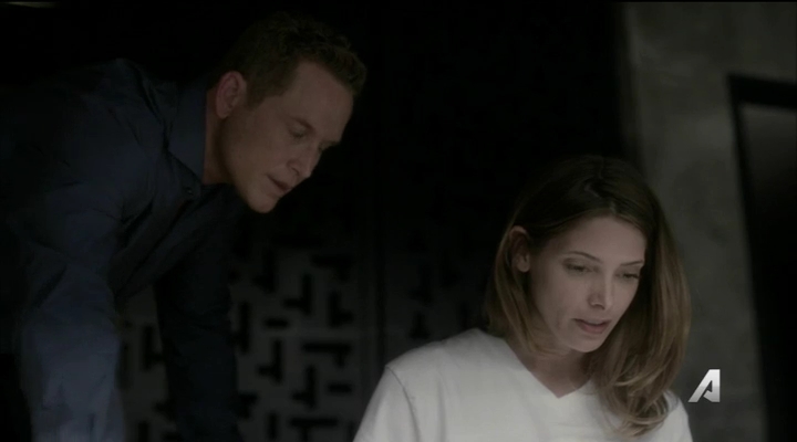 Ashley-Greene-dot_nl-Rogue3x14-1000.jpg