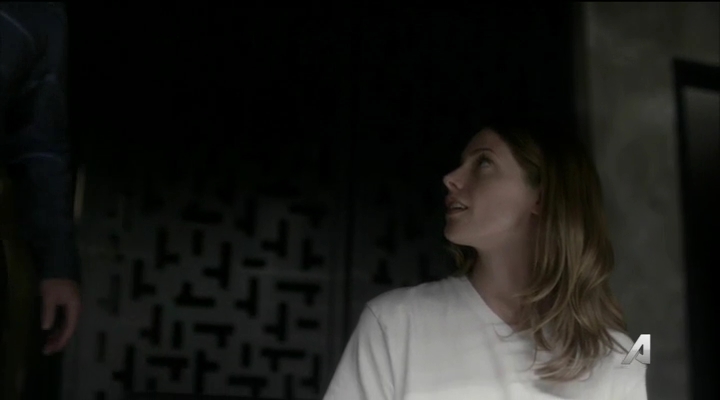 Ashley-Greene-dot_nl-Rogue3x14-1009.jpg