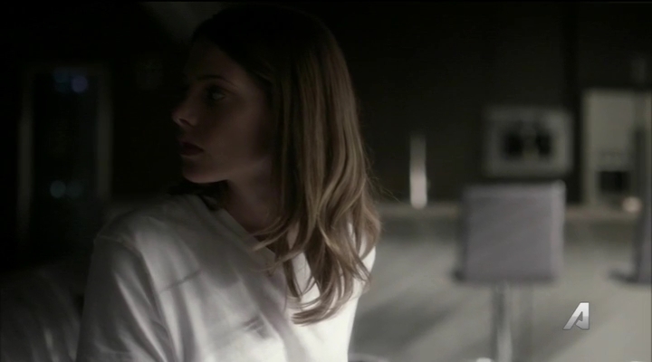 Ashley-Greene-dot_nl-Rogue3x14-1045.jpg