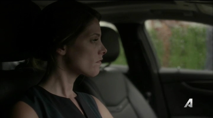 Ashley-Greene-dot_nl-Rogue3x14-1559.jpg