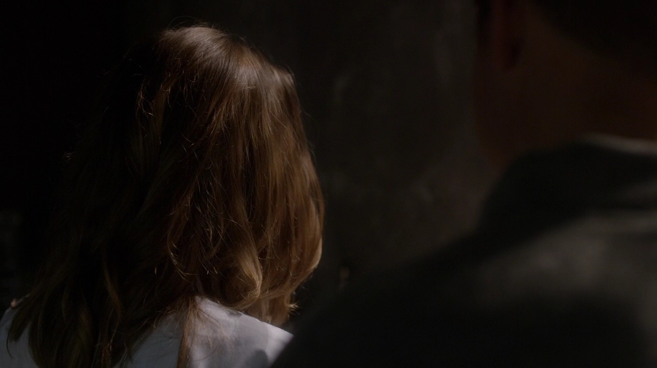 Ashley-Greene-dot-NL_Rogue3x15-1069.jpg