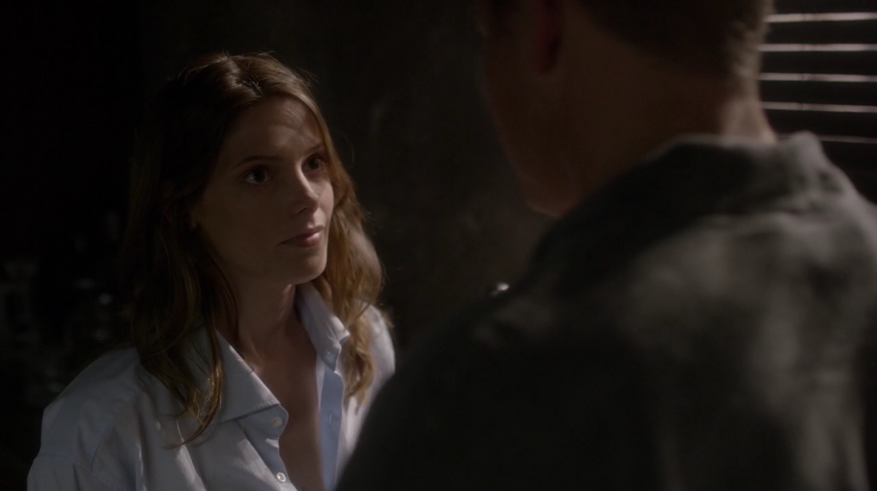 Ashley-Greene-dot-NL_Rogue3x15-1074.jpg