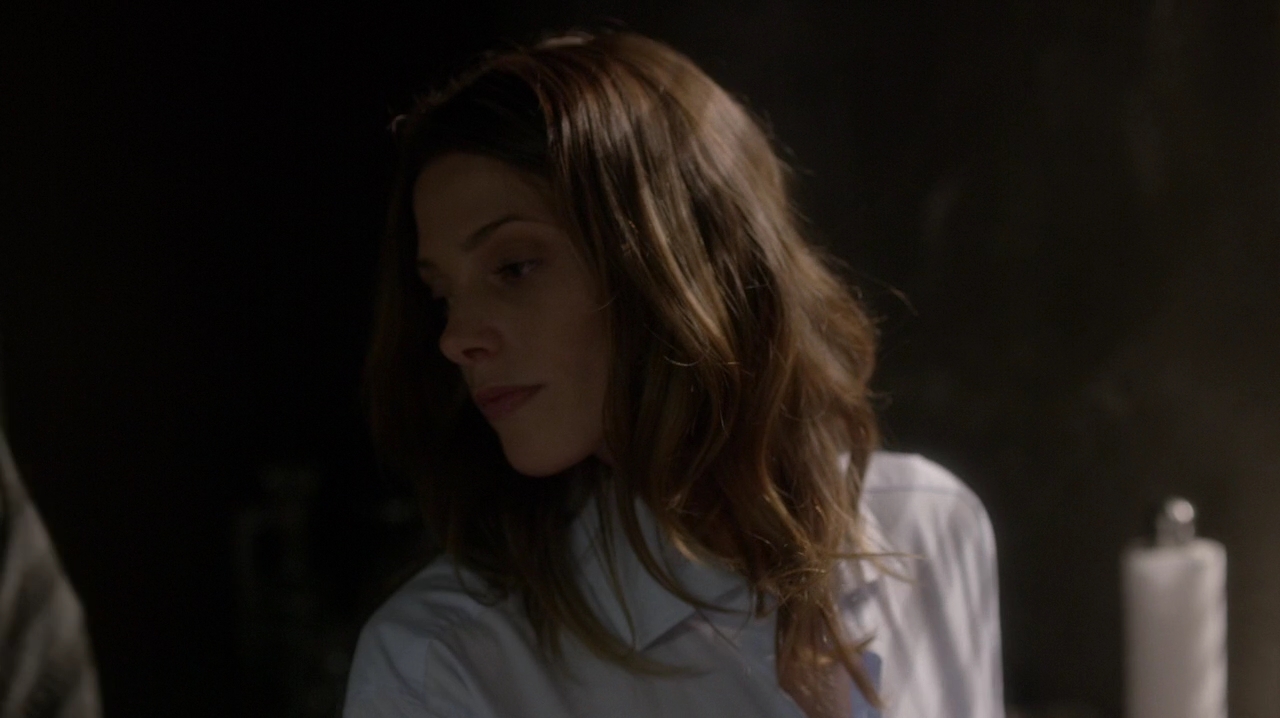 Ashley-Greene-dot-NL_Rogue3x15-1098.jpg