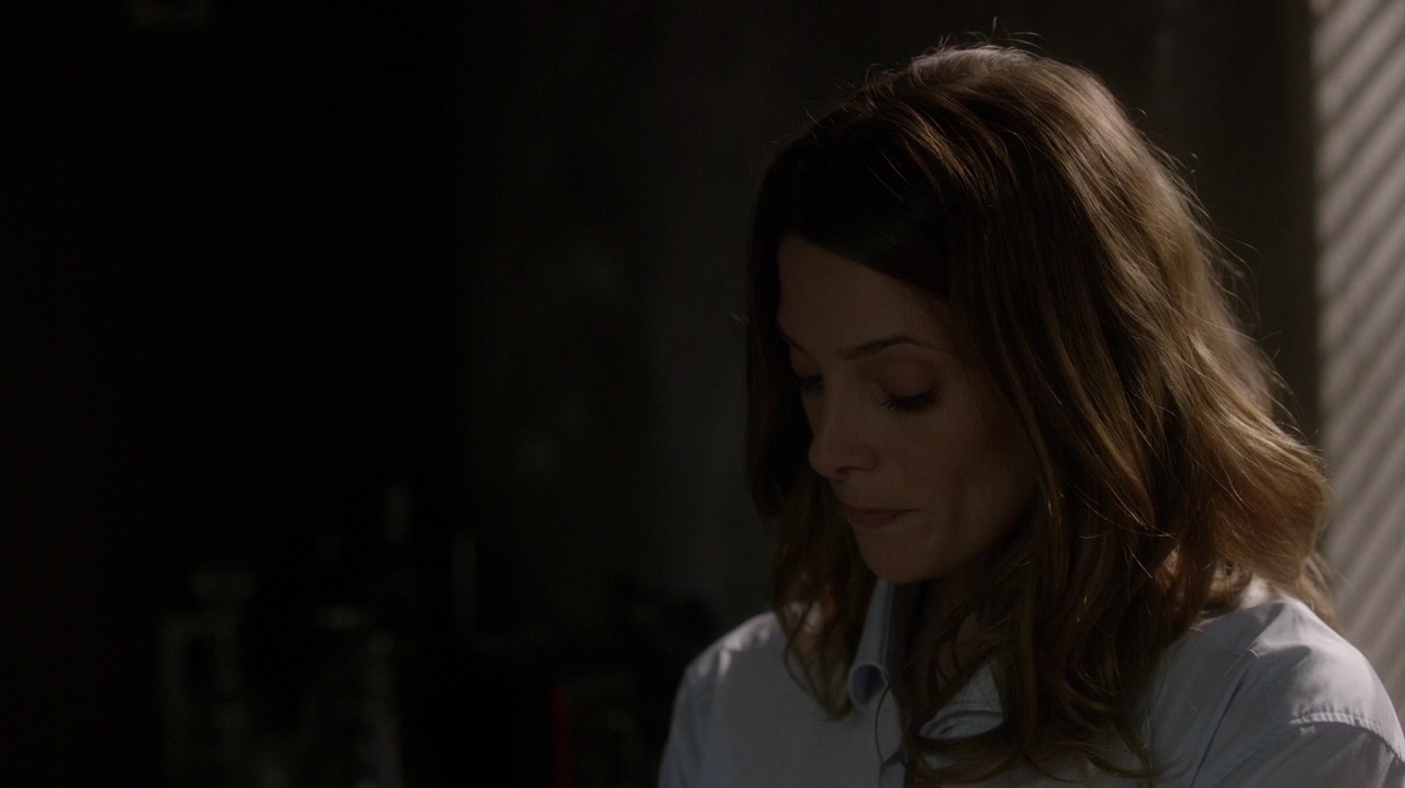Ashley-Greene-dot-NL_Rogue3x15-1110.jpg