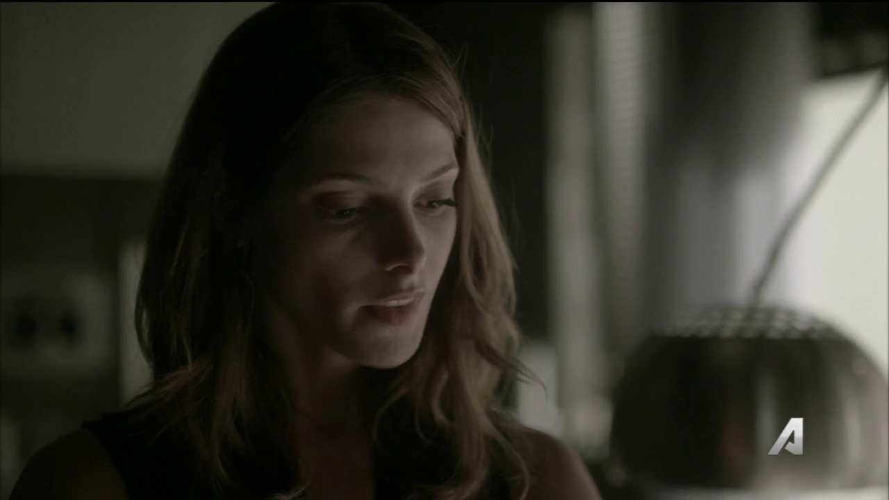 Ashley-Greene-dot_nl-Rouge3x16-1803.jpg