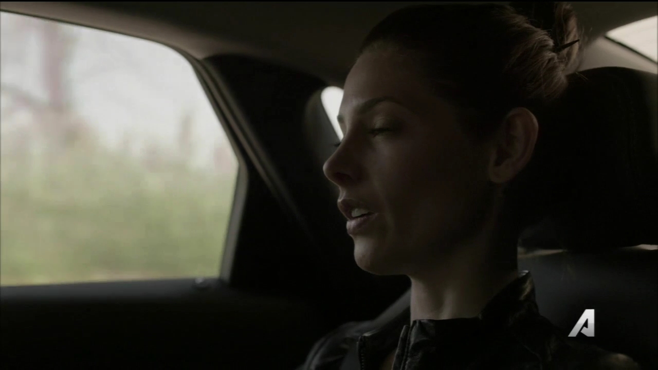 Ashley-Greene-dot_nl-Rouge3x16-2660.jpg Ashley-Greene-dot_nl-Rouge3x16-2660.jpg