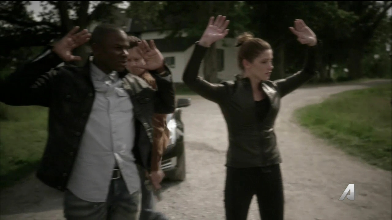 Ashley-Greene-dot_nl-Rouge3x16-2772.jpg