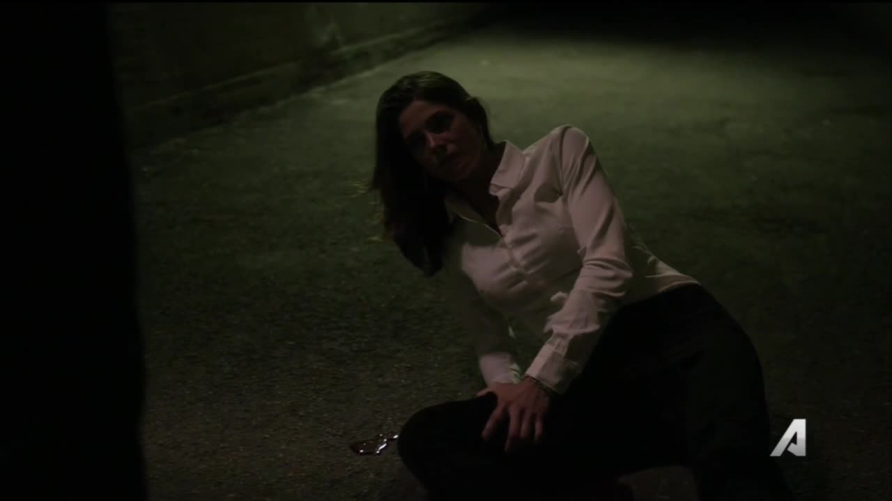 Ashley-Greene-dot-NL-Rouge3x20-00712.jpg