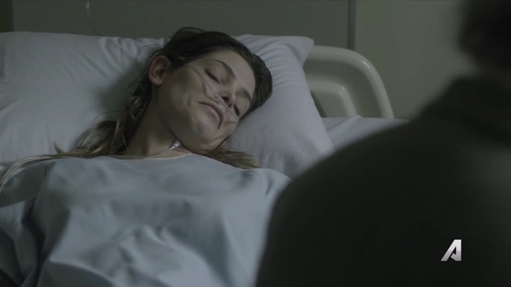 Ashley-Greene-dot-nl_Rouge4x01MariaFullofGrace1536.jpg Ashley-Greene-dot-nl_Rouge4x01MariaFullofGrace1536.jpg