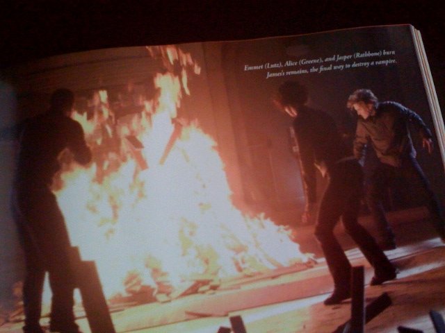 2008-IllustratedMovieCompainBook004.jpg