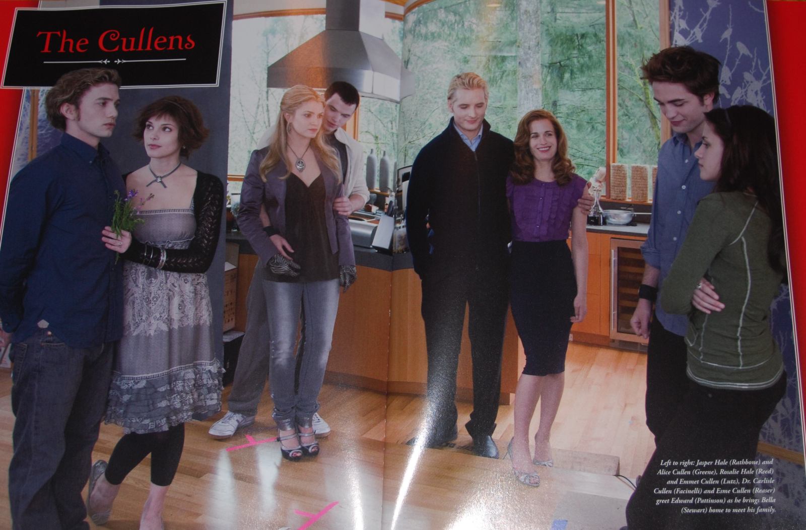 2008-IllustratedMovieCompainBook010.jpg