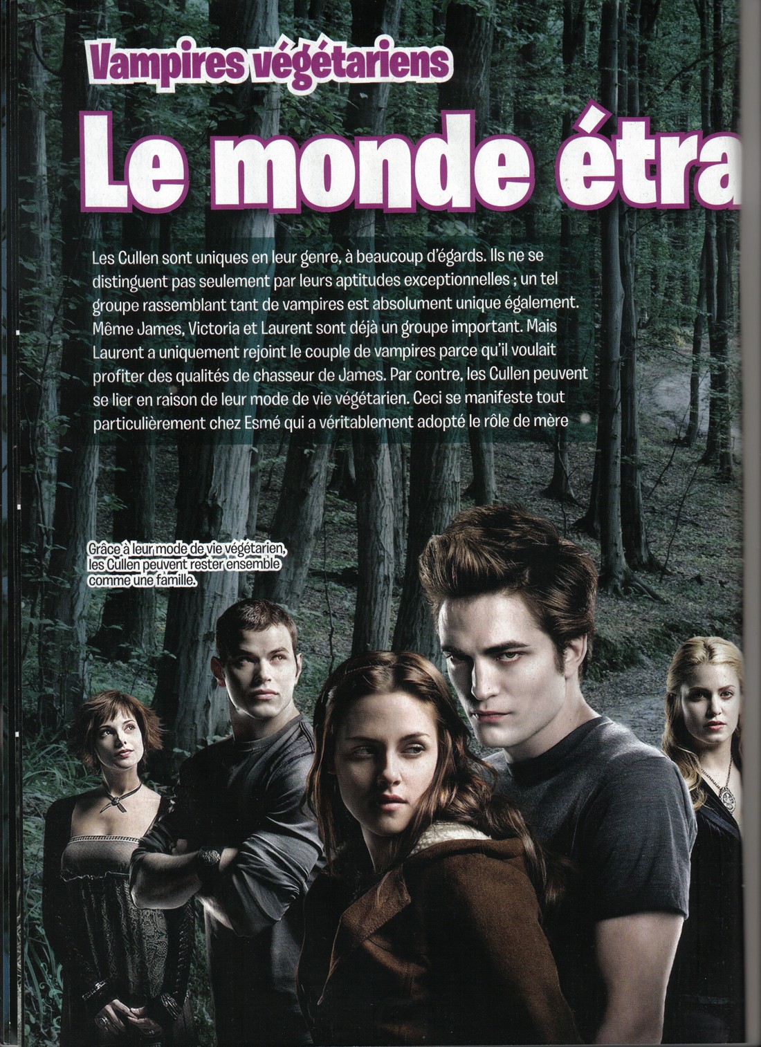 PictureStarTwilightSpecial004.jpg