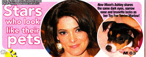MMagazine003.jpg